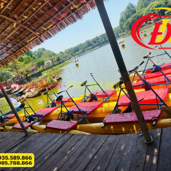 Thiên nga đạp nước công viên